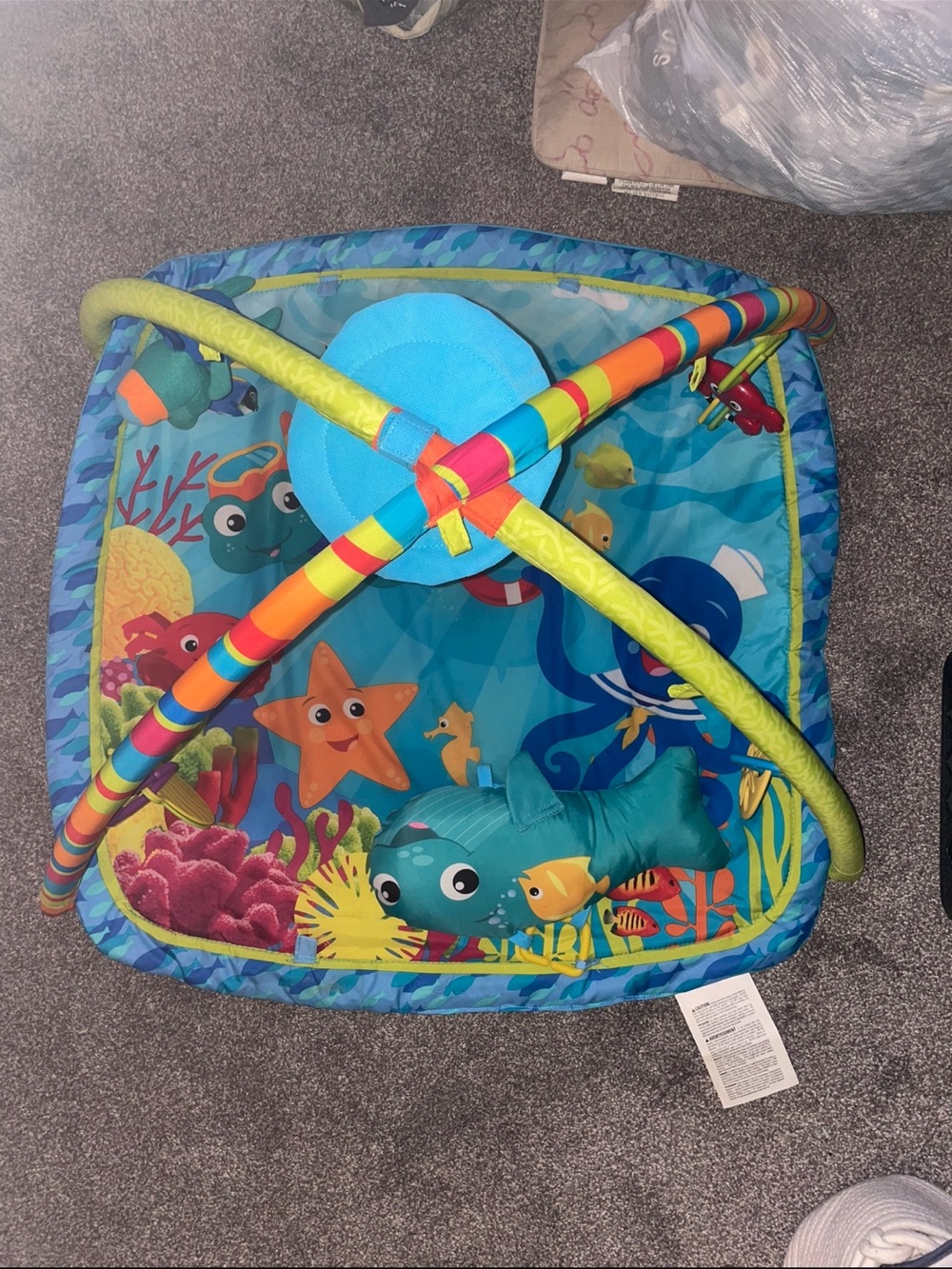 Infant Ocean Play Gym - Blue